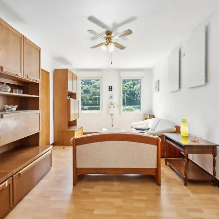 Rheinblick Apartment